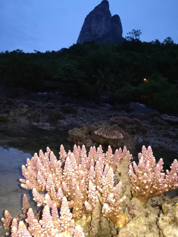 Simukut Place Kampong Pasir Sanang Burong Экстерьер фото